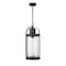 Z-Lite Roundhouse 1 Light Outdoor Chain Mount Ceiling Fixture, Black And Clear Seedy 569CHB-BK - alternate 1